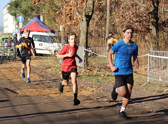 Świętowanie niepodległości na sportowo – 240 69114