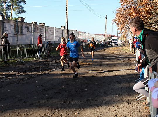 Świętowanie niepodległości na sportowo – 240 69116