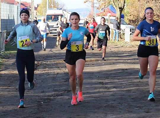 Świętowanie niepodległości na sportowo – 240 69124