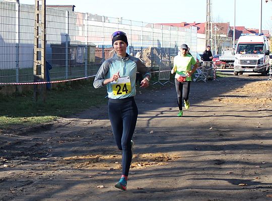 Świętowanie niepodległości na sportowo – 240 69129