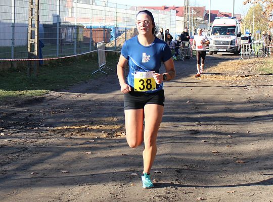 Świętowanie niepodległości na sportowo – 240 69131