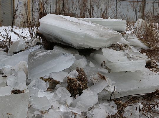Koparki w akcji. Kruszenie grubego lodu na rzece 71489