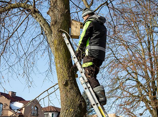 Wiosna w mieście - Lębork przygotował 230 budek 72184