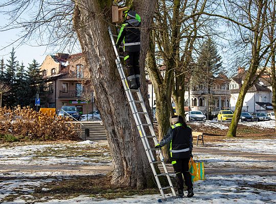Wiosna w mieście - Lębork przygotował 230 budek 72189