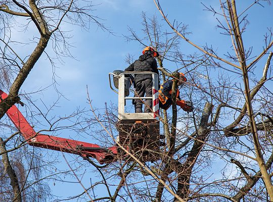 Lębork ruszył z wiosennymi porządkami 72198
