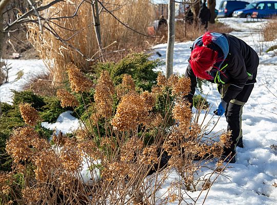 Lębork ruszył z wiosennymi porządkami 72199