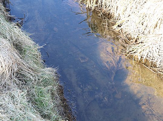 Wiosenne porządki w Lęborku - trwa konserwacja 72269