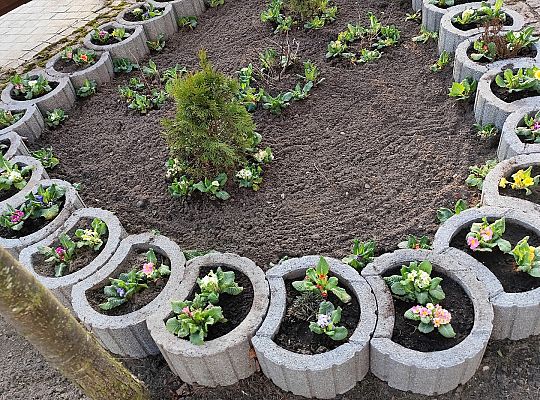 Wspólne działania dzieci i seniorów wokół Bazy 72296