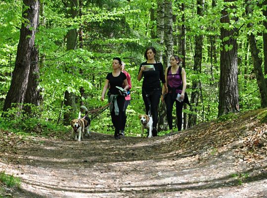 Zawody Dogtrekkingu w Lęborku 5685