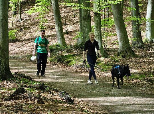 Zawody Dogtrekkingu w Lęborku 5691