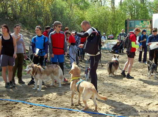 Zawody Dogtrekkingu w Lęborku 5692