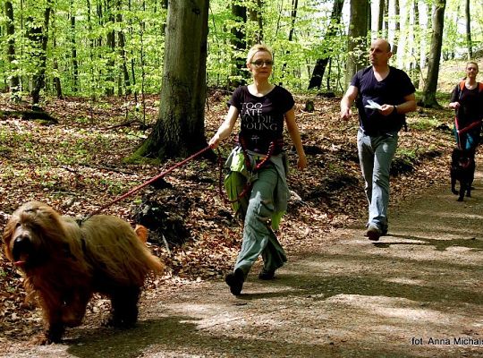 Zawody Dogtrekkingu w Lęborku 5686