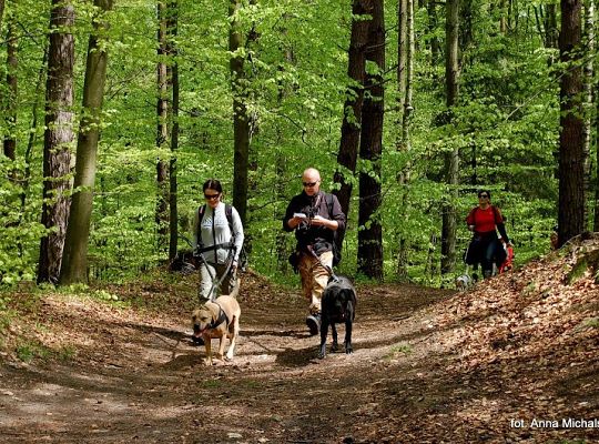 Zawody Dogtrekkingu w Lęborku 5687