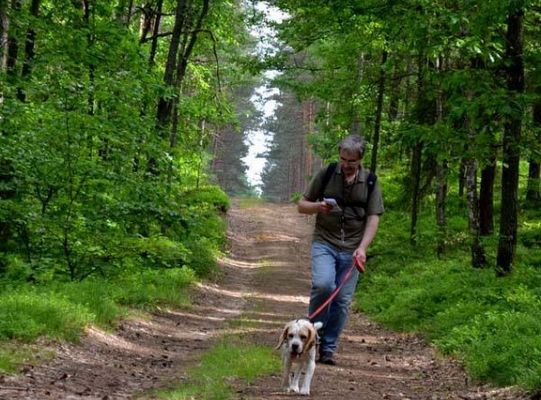 Zawody Dogtrekkingu – po raz pierwszy w Lęborku 5731