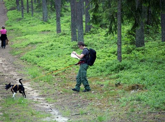 Zawody Dogtrekkingu – po raz pierwszy w Lęborku 5733