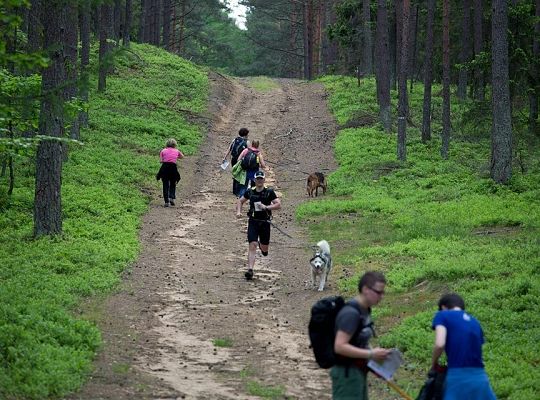 Zawody Dogtrekkingu – po raz pierwszy w Lęborku 5734