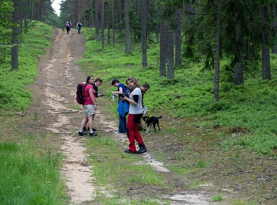 Zawody Dogtrekkingu – po raz pierwszy w Lęborku 5735