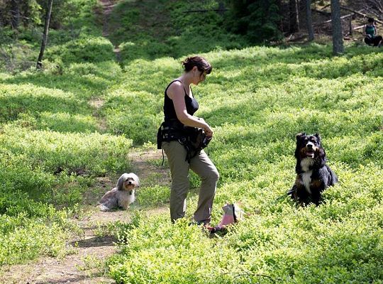 Zawody Dogtrekkingu – po raz pierwszy w Lęborku 5737