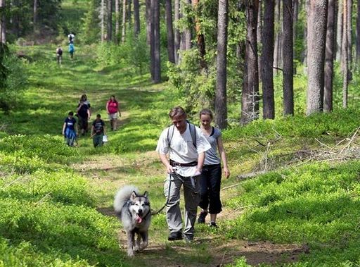 Zawody Dogtrekkingu – po raz pierwszy w Lęborku 5738