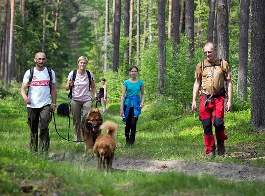 Zawody Dogtrekkingu – po raz pierwszy w Lęborku 5740