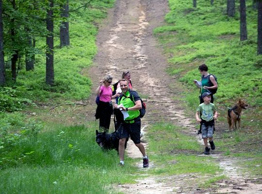 Zawody Dogtrekkingu – po raz pierwszy w Lęborku 5744