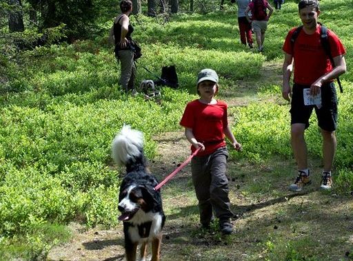 Zawody Dogtrekkingu – po raz pierwszy w Lęborku 5745