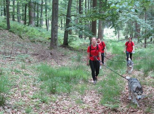 Zawody Dogtrekkingu – po raz pierwszy w Lęborku 5726