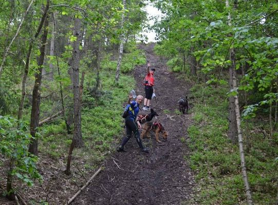 Zawody Dogtrekkingu – po raz pierwszy w Lęborku 5727