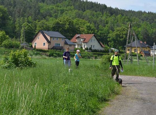 Zawody Dogtrekkingu – po raz pierwszy w Lęborku 5728