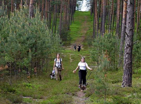 Zawody Dogtrekkingu – po raz pierwszy w Lęborku 5729