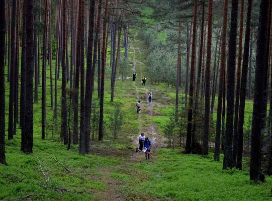 Zawody Dogtrekkingu – po raz pierwszy w Lęborku 5730