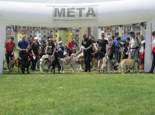 Zawody Dogtrekkingu – po raz pierwszy w Lęborku 5749