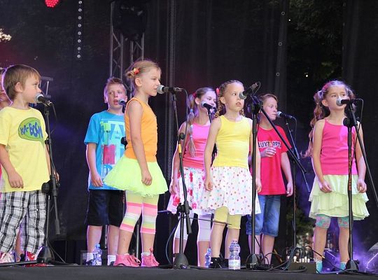 Lęborskie Dni Jakubowe 2013. Tak było 6451