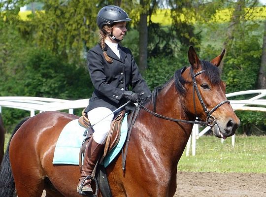 Promocja Lęborka w Runowie 8247