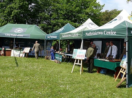 Promocja Lęborka w Runowie 8248