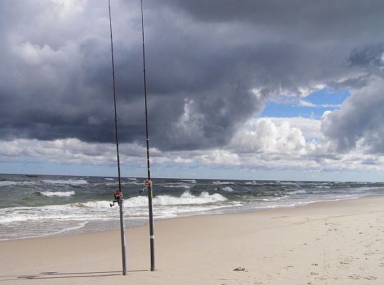 V Mistrzostwa Polski w łowieniu brzegowo-plażowym 8520