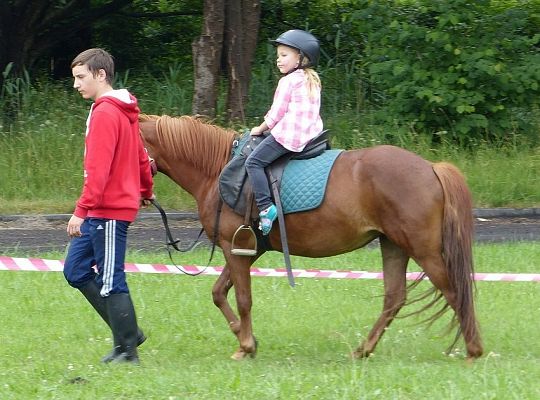 Rodzinny Marsz i Festyn 8616