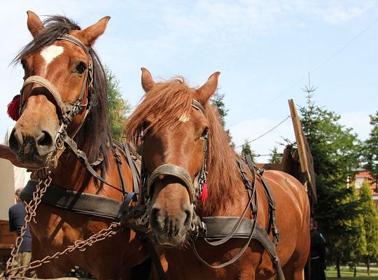 Lęborskie Dni Jakubowe AD 2014 9276