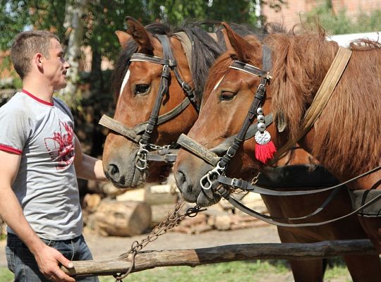 Lęborskie Dni Jakubowe AD 2014 9278