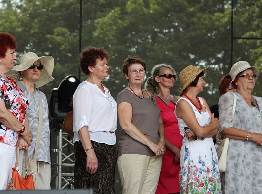 Lęborskie Dni Jakubowe AD 2014 9310