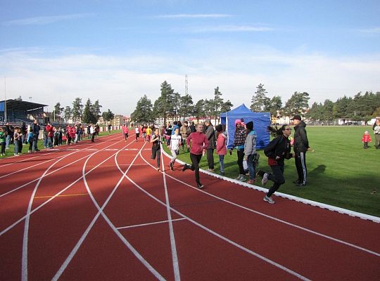 Biegi lekkoatletyczne 10186