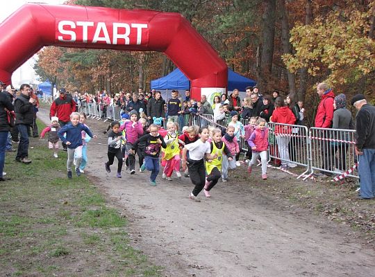 Lębork uczcił 96 rocznicę odzyskania 10270