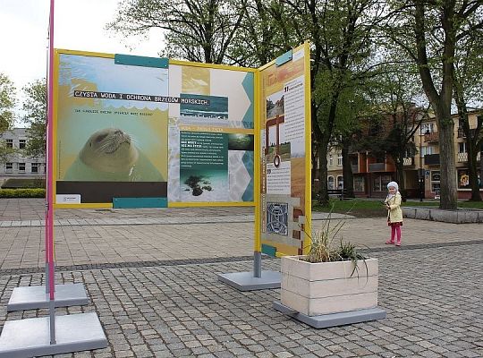 Wystawa na placu Pokoju 11300