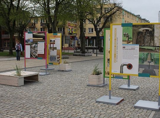 Wystawa na placu Pokoju 11306