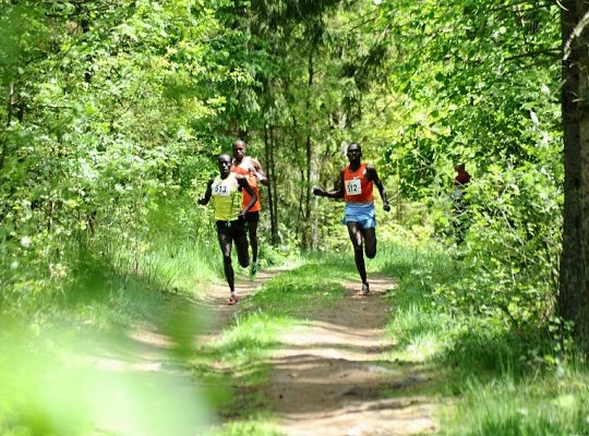 Rekordowe wyniki w obliwickim biegu 11506