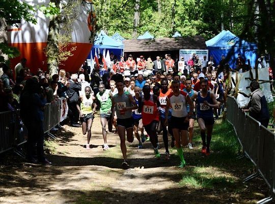 Rekordowe wyniki w obliwickim biegu 11503