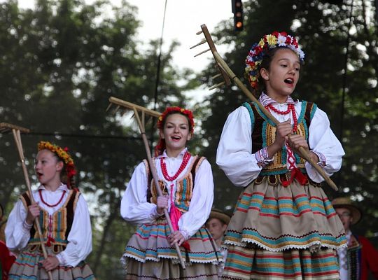 Lęborskie Dni Jakubowe 2015 - Tak było! 12591