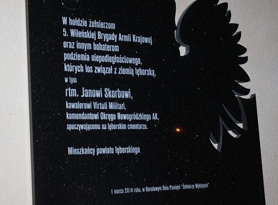 W hołdzie Żołnierzom Wyklętym 14053