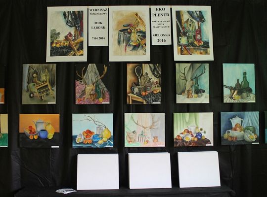 Działania Młodzieżowego Domu Kultury w zakresie 14409