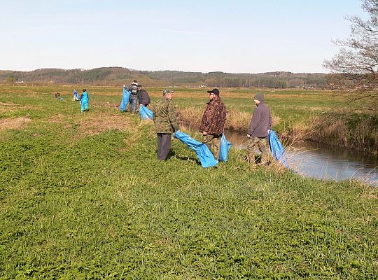 Wysprzątali rzekę Łebę 14459